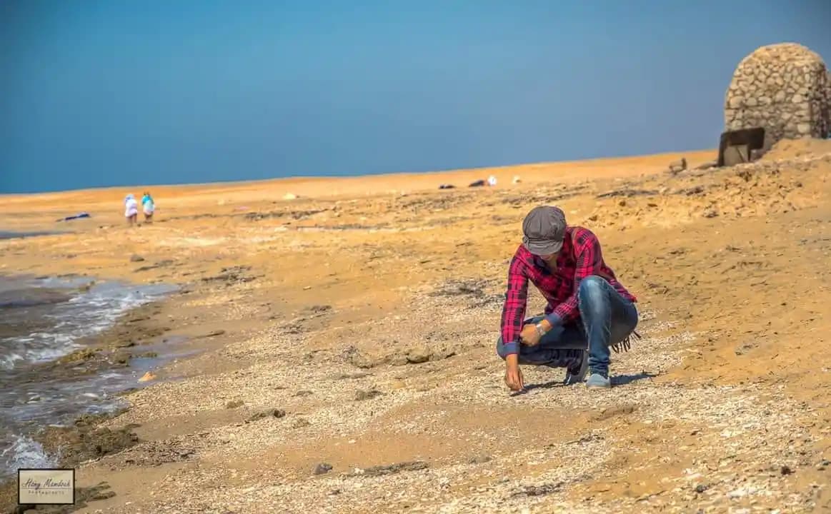 Field visit for Ras Muhammad National Park